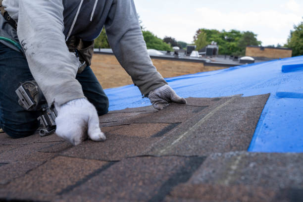 Quick and Trustworthy Emergency Roof Repair Services in Ferdinand, IN